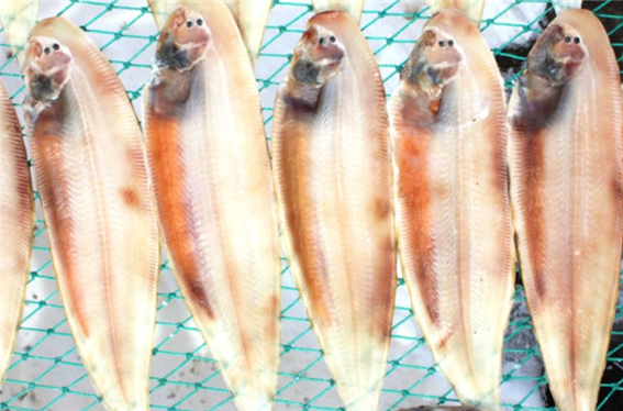 청암수산 이미지