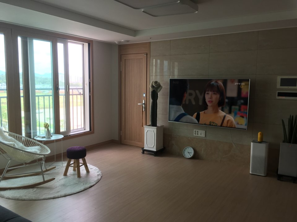 애완선인장 이미지