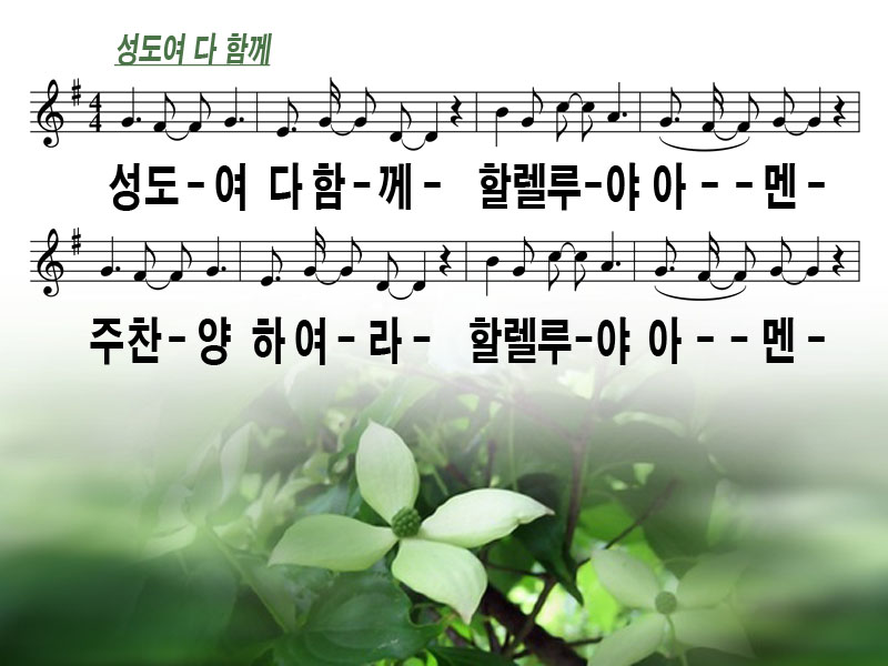 성도컴퓨터 이미지