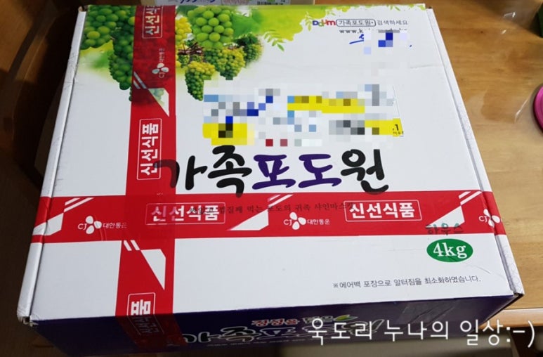 싱싱포도원 이미지