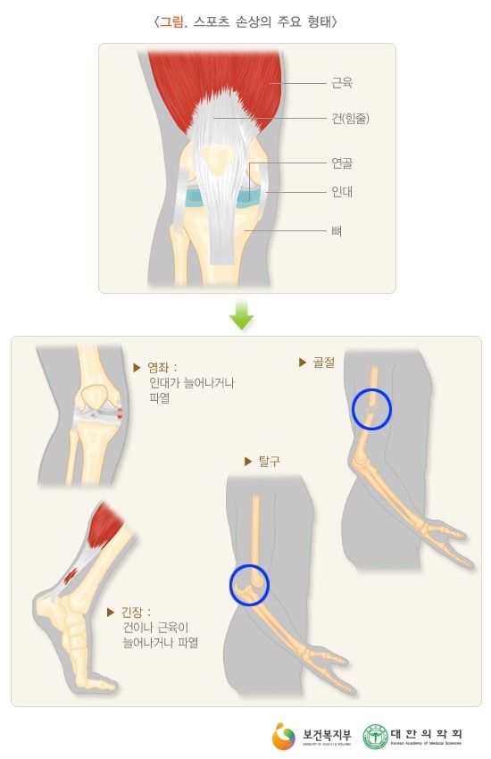피지오스 이미지