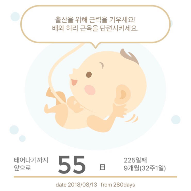맘스터치강릉 이미지