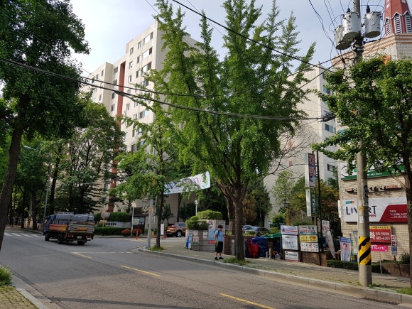 세무법인삼덕 이미지