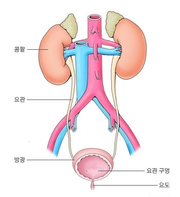 현풍경대비뇨기과의원 이미지