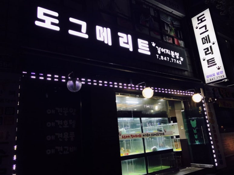 메리트안전 이미지