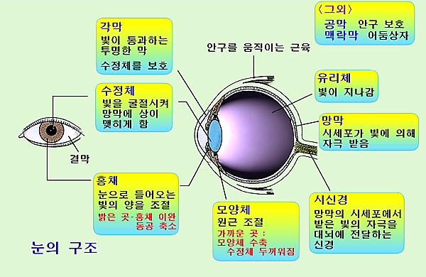 이강한의원 이미지