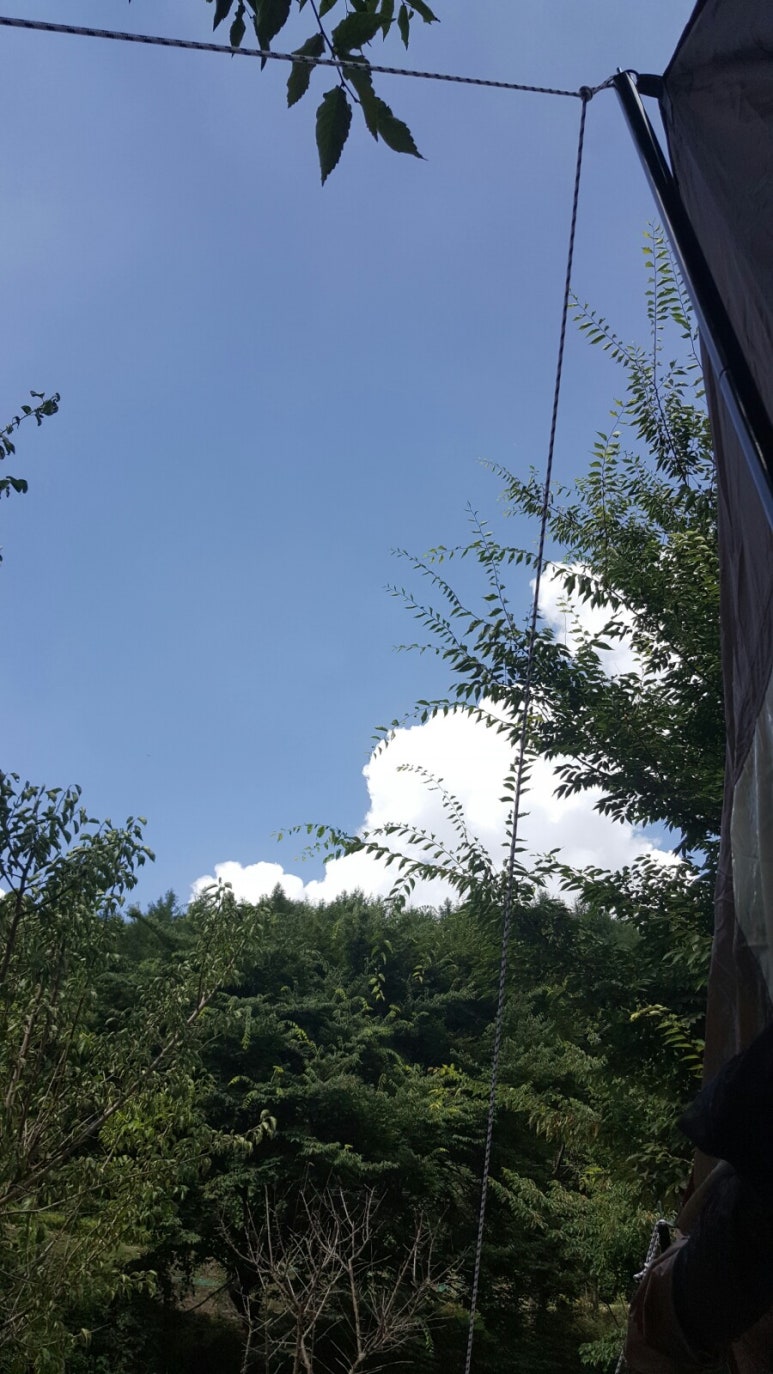 황학동캠핑장 이미지
