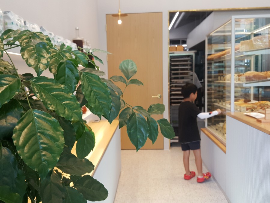 오븐필 이미지