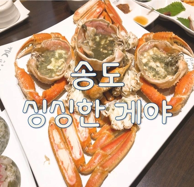 싱싱한게야 이미지