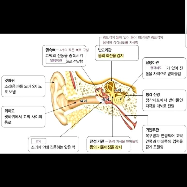 이강한의원 이미지