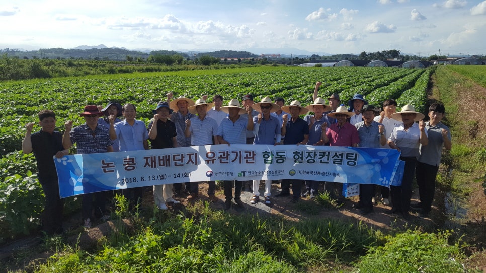 콩컨설팅 이미지