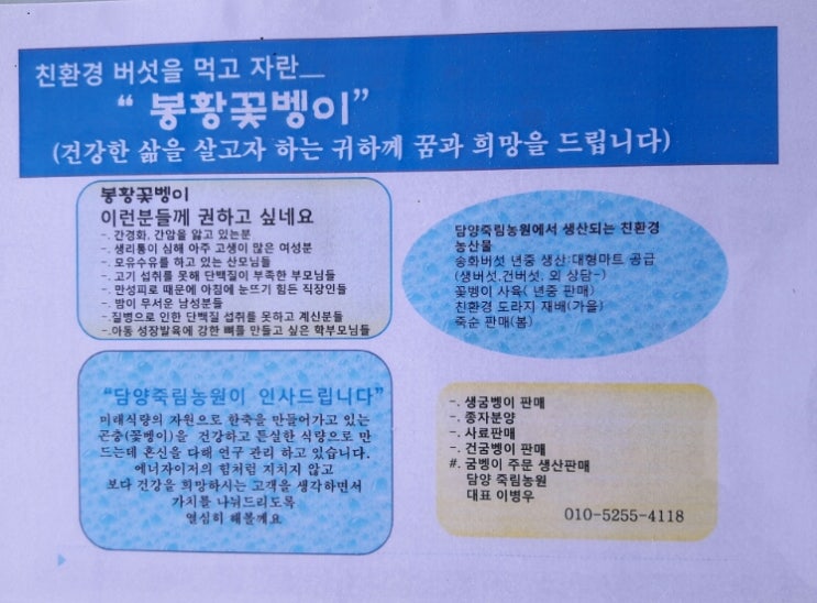 봉황꽃벵이 이미지