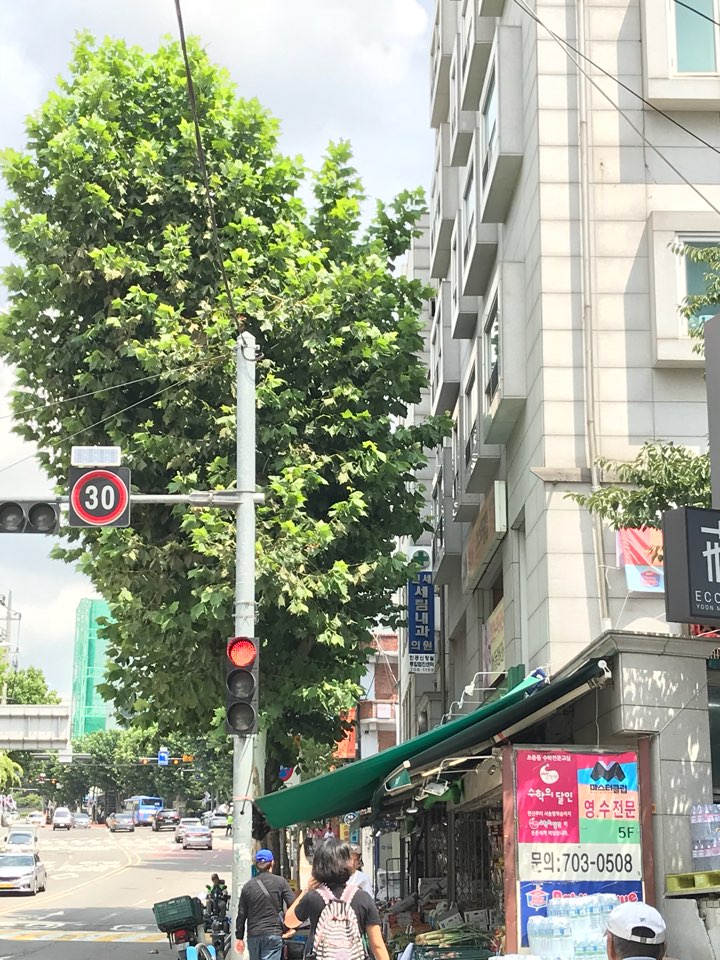 연세세림내과 이미지