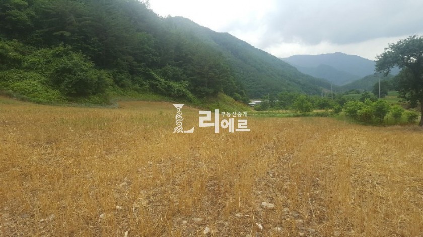 하이원랜드 이미지