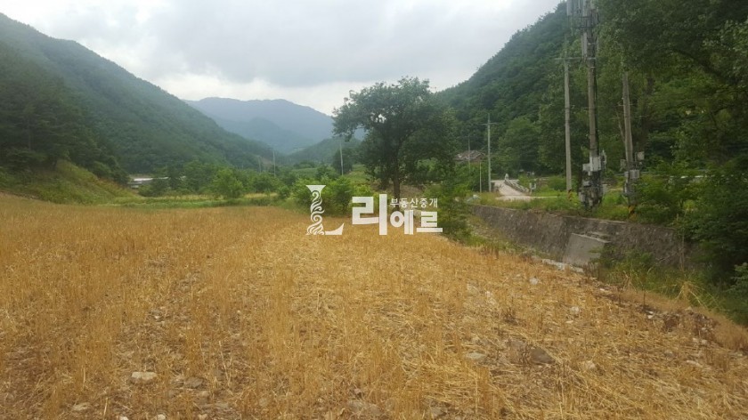 하이원랜드 이미지