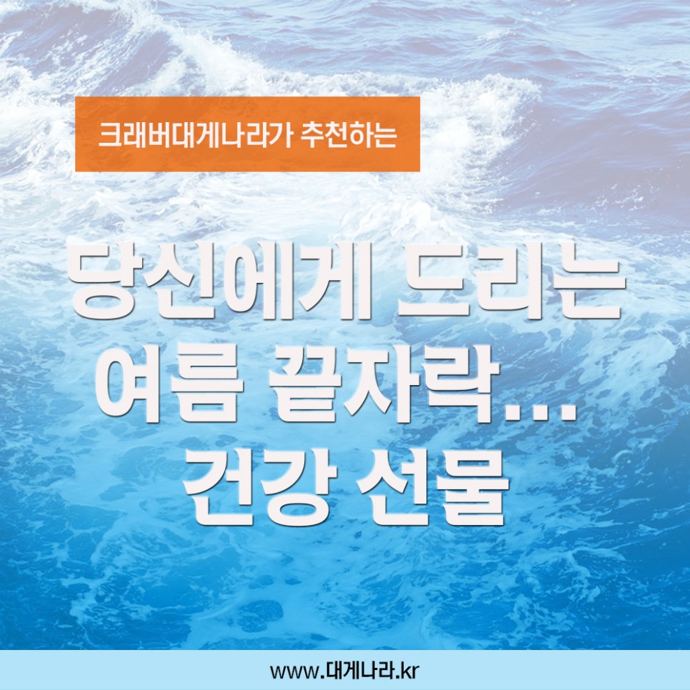 소풍나라 이미지