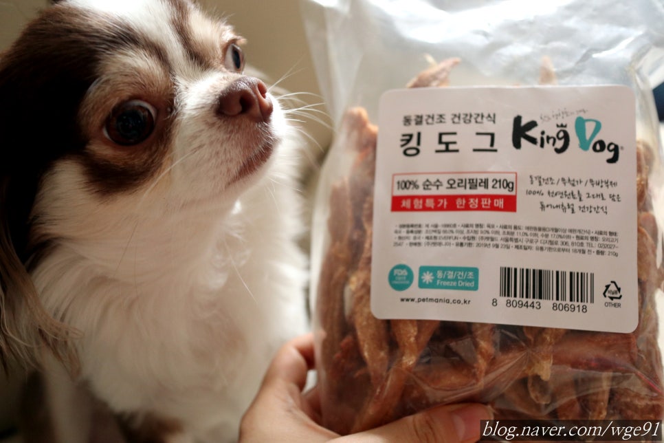 킹독 이미지