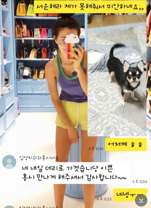 홍시언니네 이미지