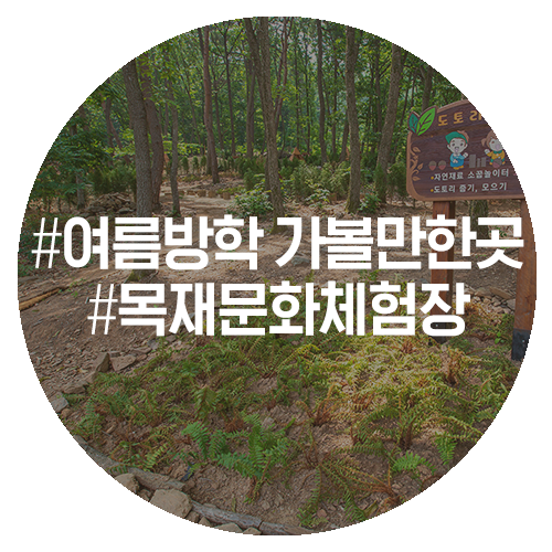 공주산림휴양마을 유아숲체험원 이미지