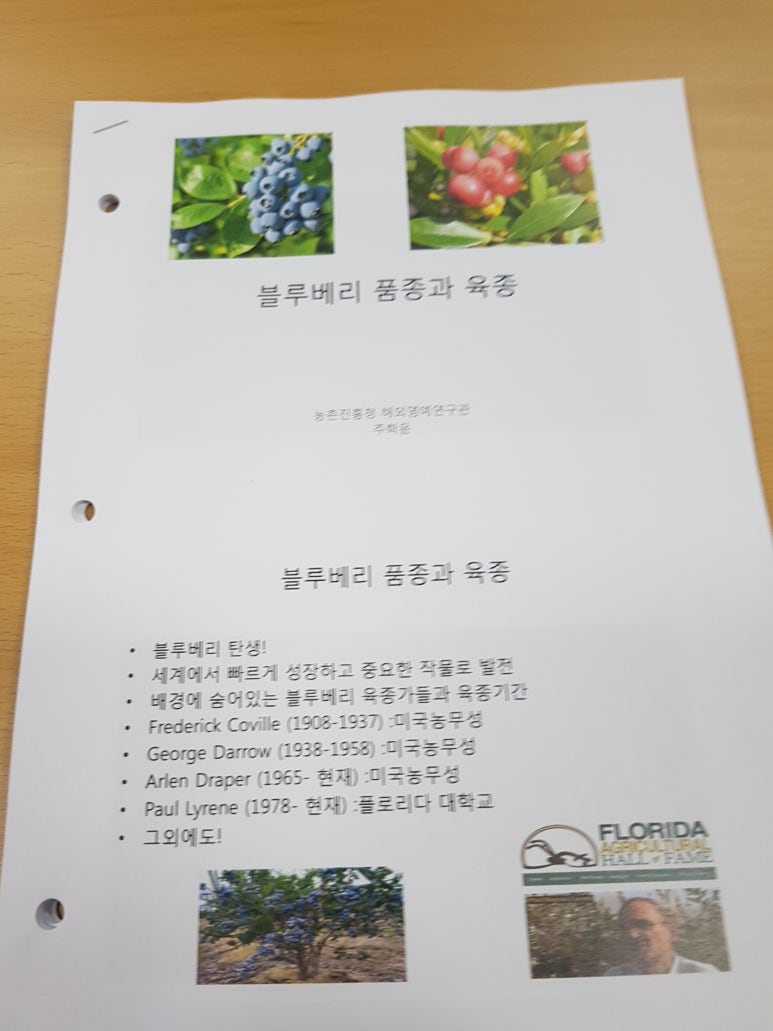 무주안성인력 이미지