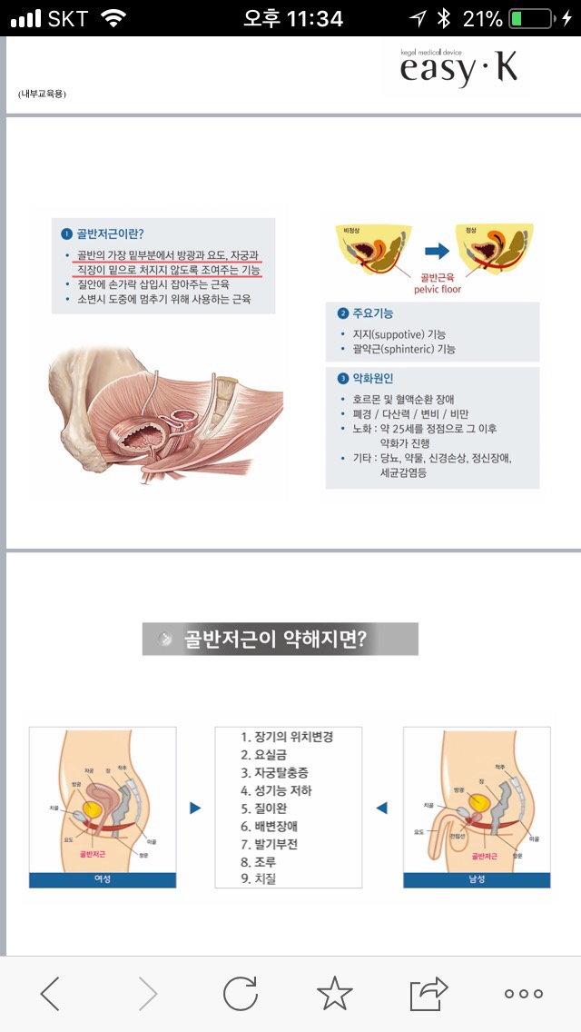 이지케이 이미지