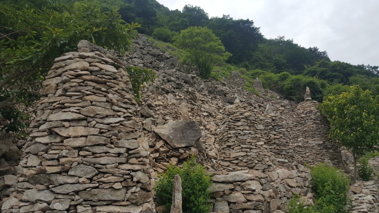 제주첨단 이미지