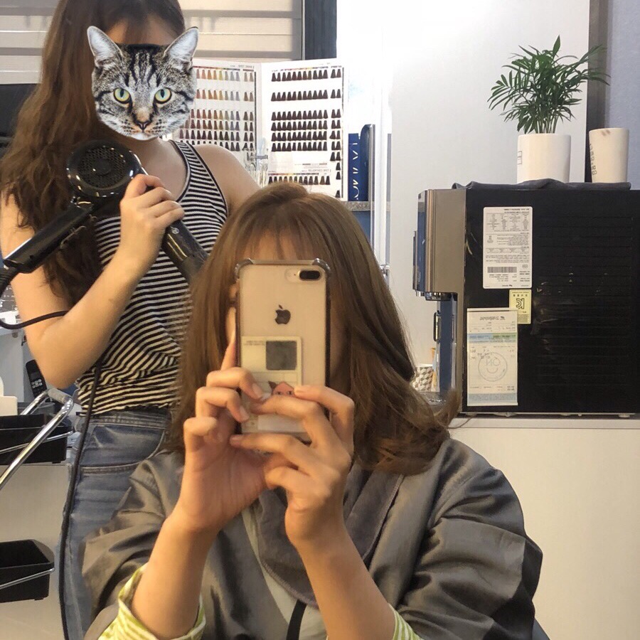 디아르헤어 이미지
