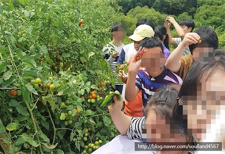 소울터보호작업장 이미지