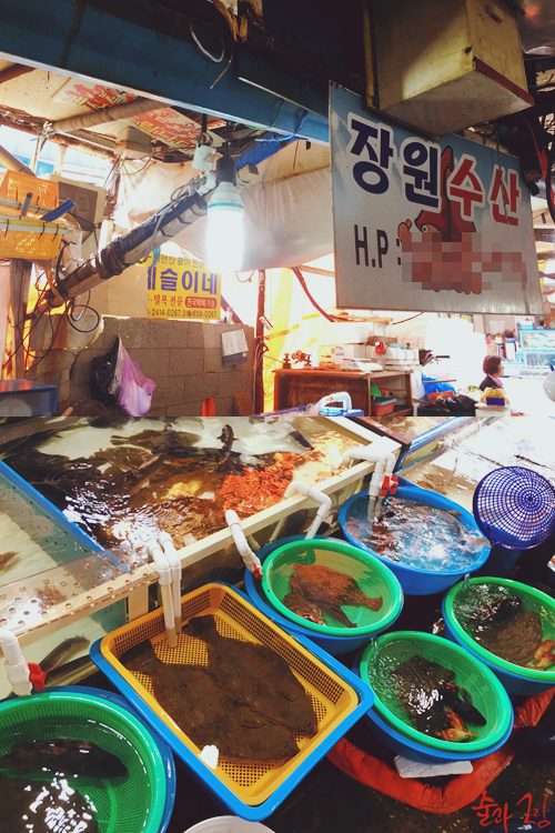 태일수산 이미지