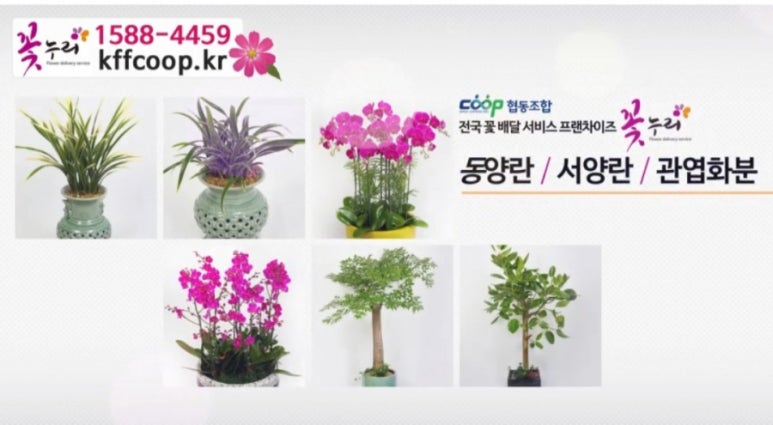애드협동조합 이미지