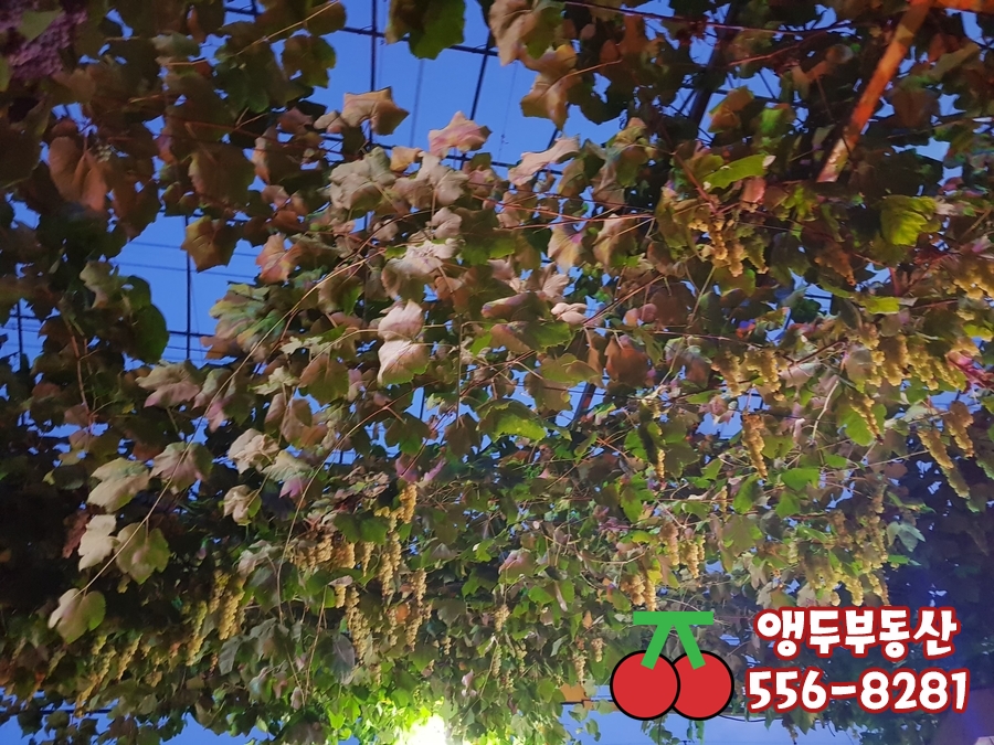훈희농원 이미지
