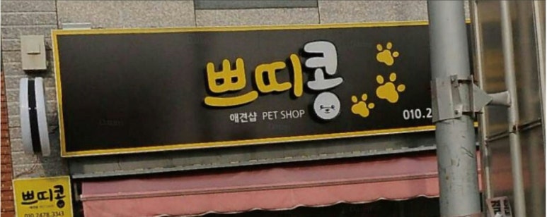 쁘띠콩 이미지