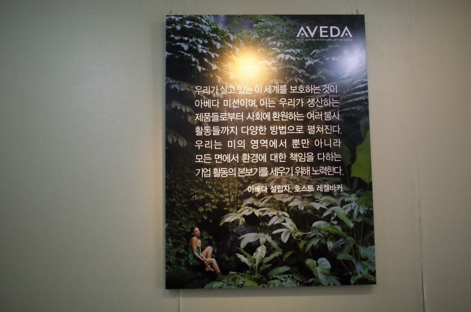 글래드헤어 이미지