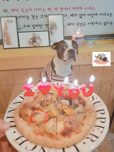 왕눈이 카페 이미지