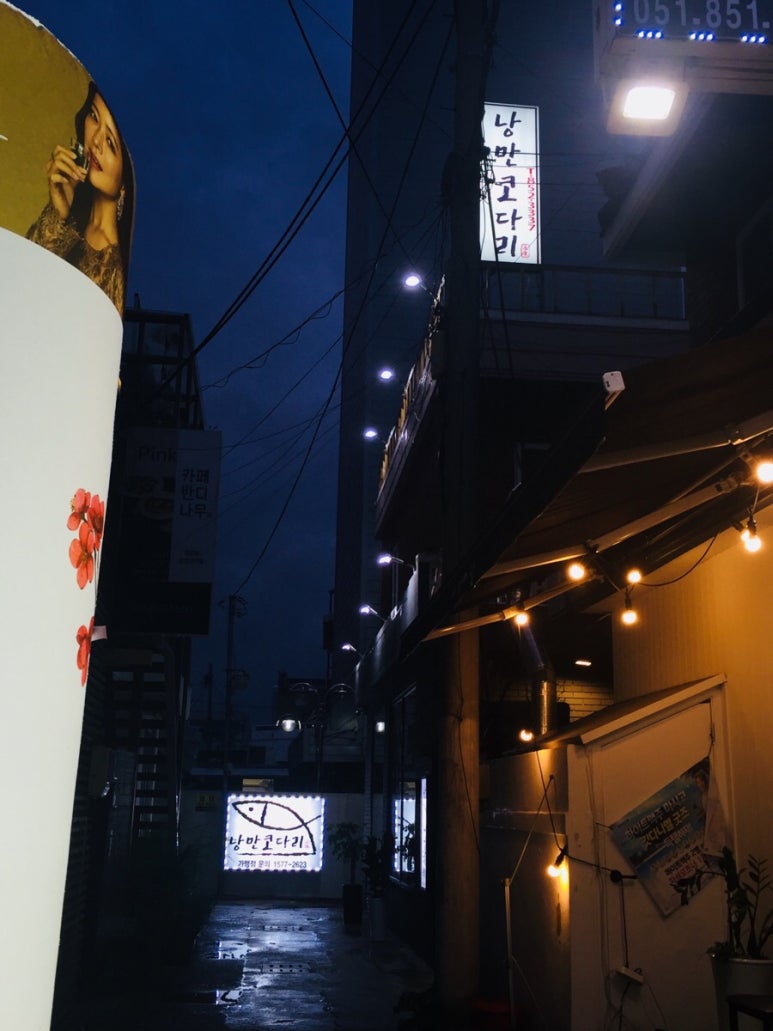 낭만코다리 이미지