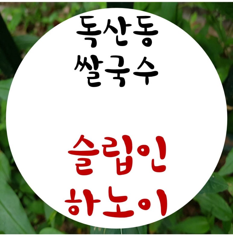 슬립인하노이 이미지