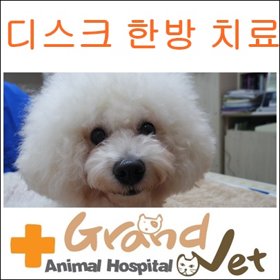 메이벳 이미지