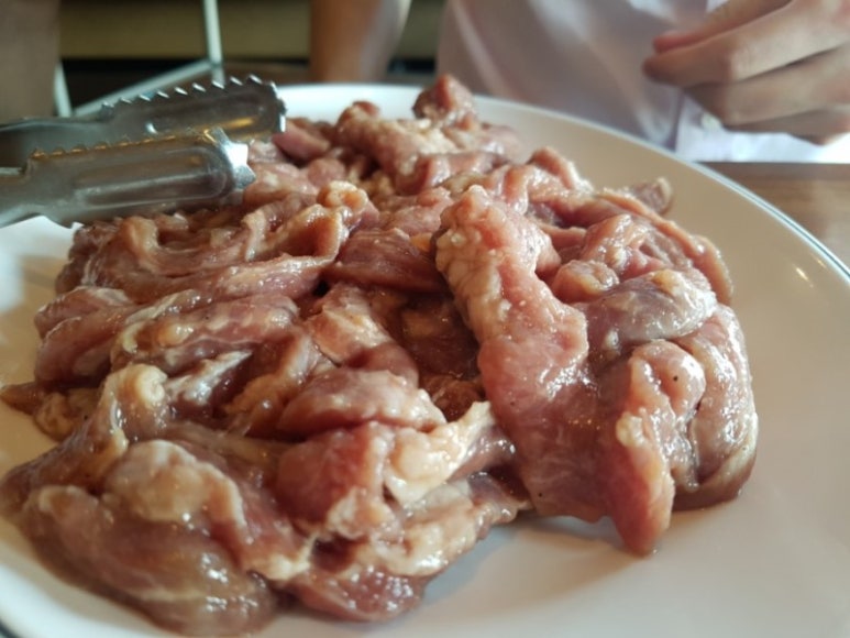 송도갈매기 이미지