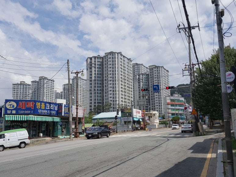 솔릭개발2 이미지