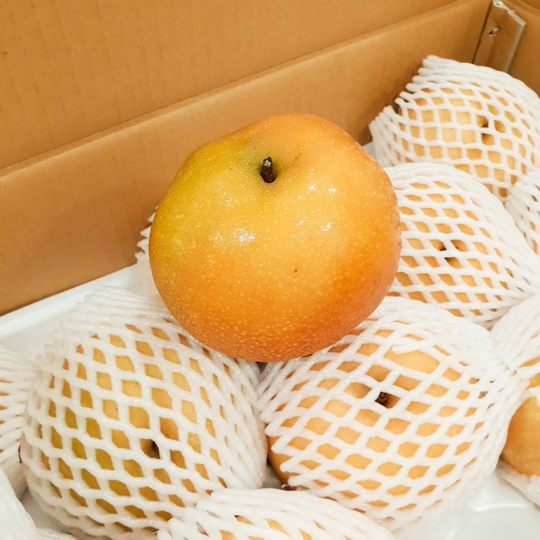 올스마일치과 이미지