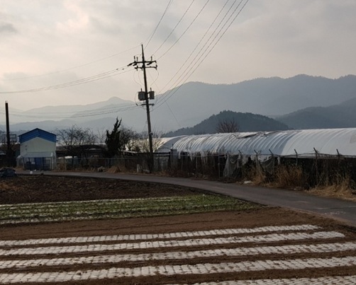 오류리(화순) 이미지