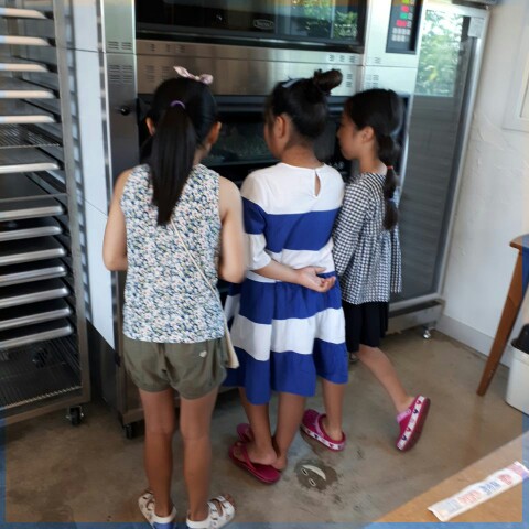 돌담체험농장 이미지