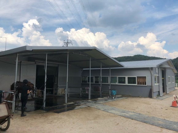 멜버른승마 이미지
