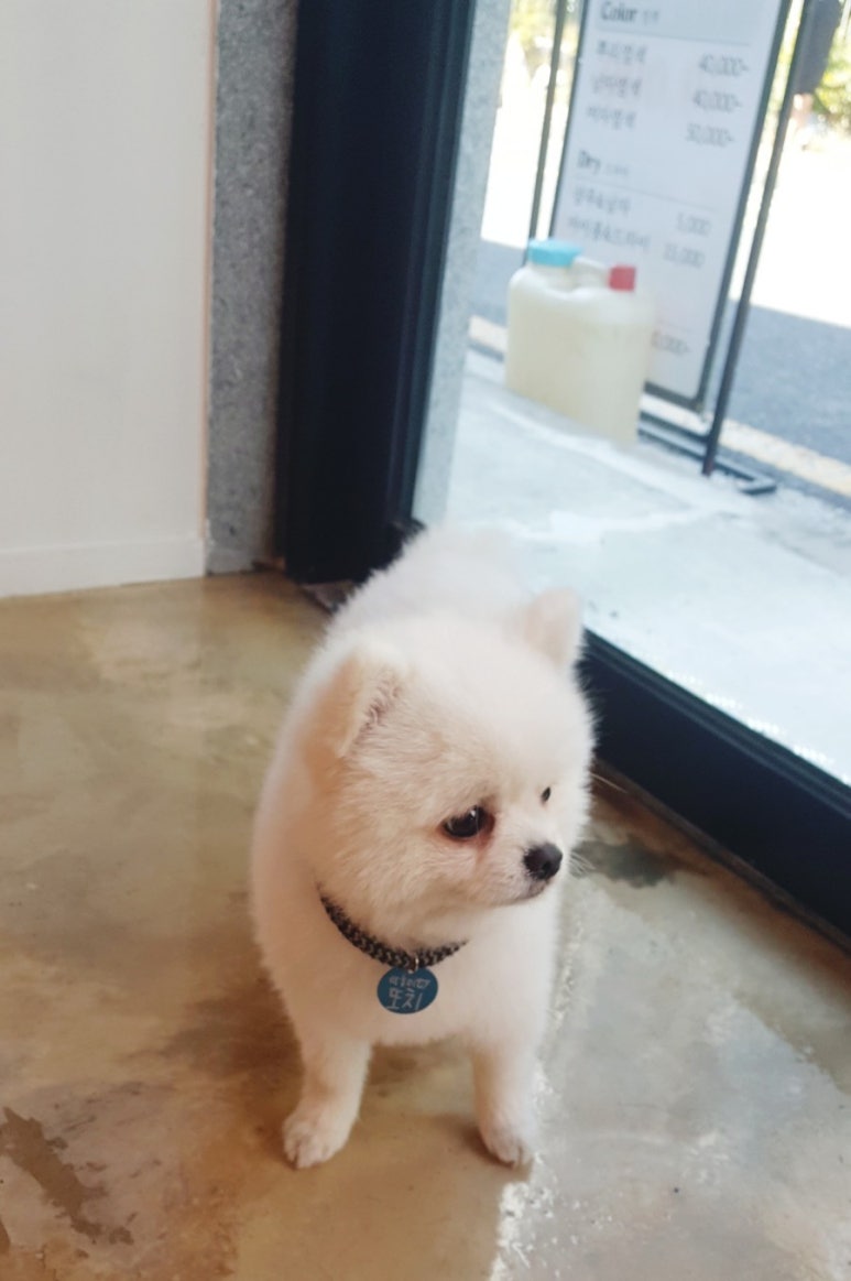 어울림미장원 이미지