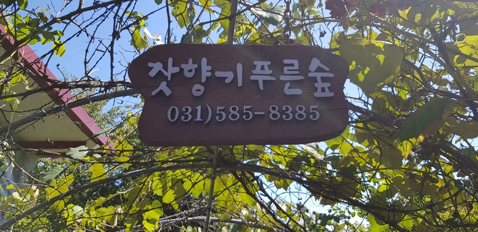 가평잣향기 이미지