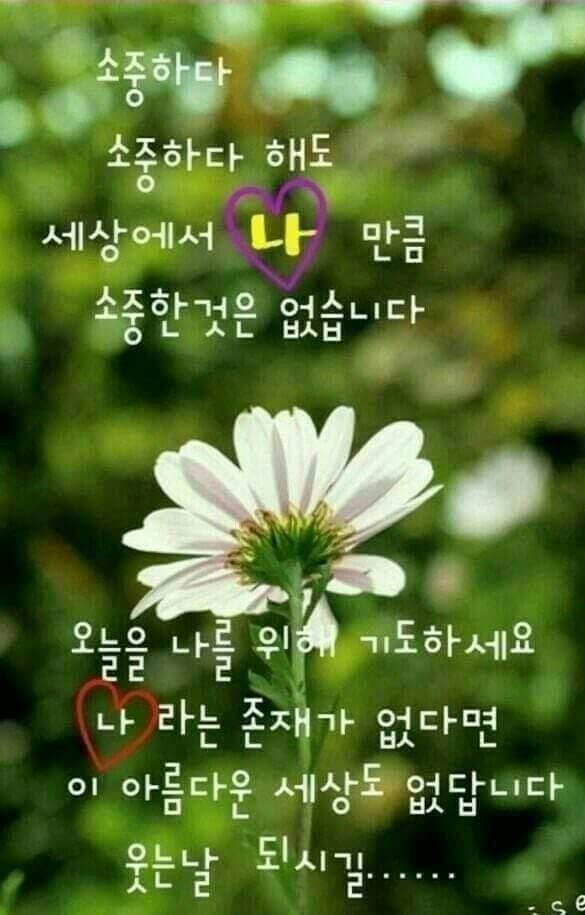 샬롬헤어샵 이미지