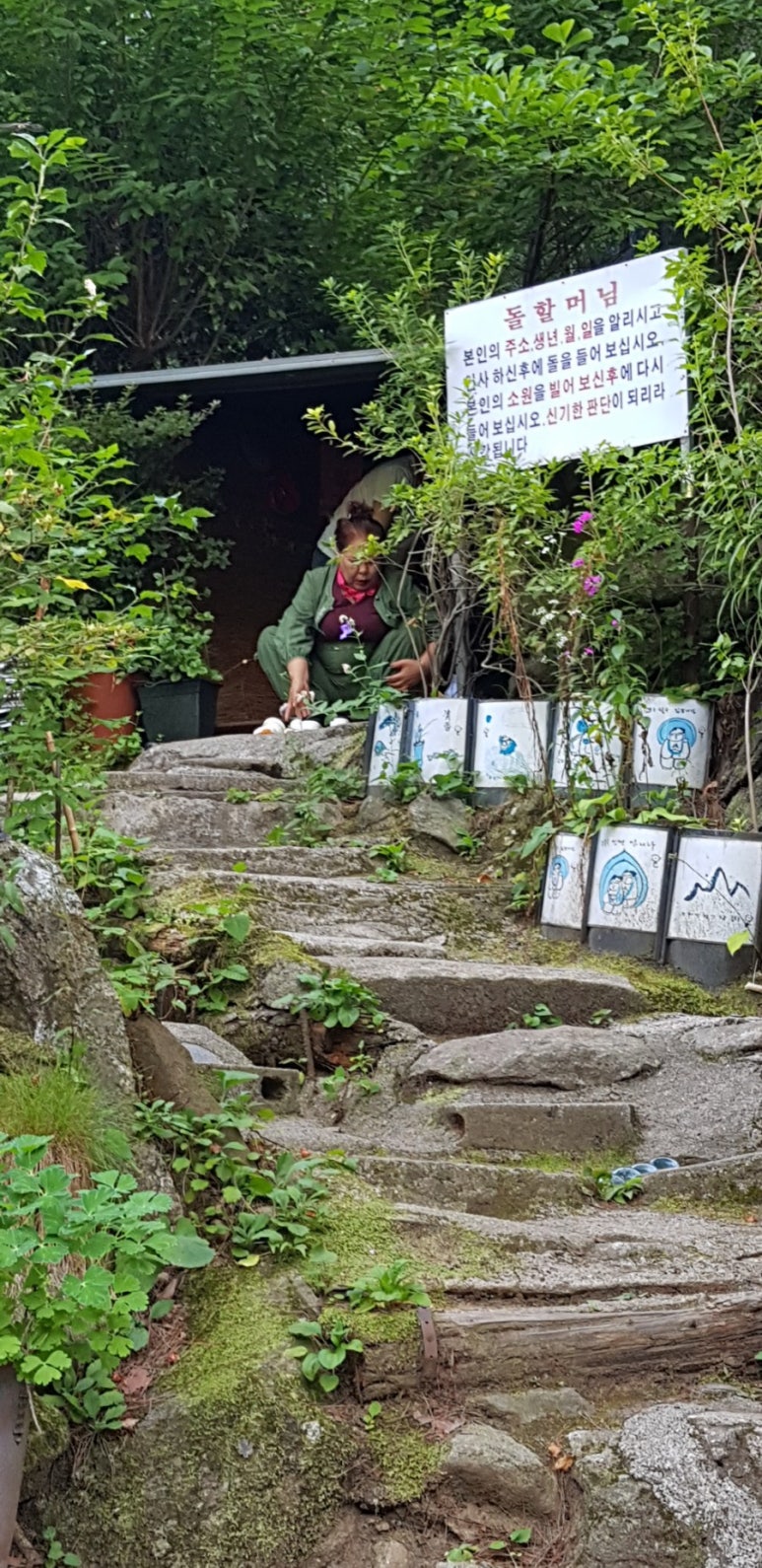 평안건기 이미지