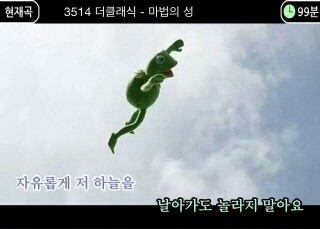 타코랑타코야끼 이미지