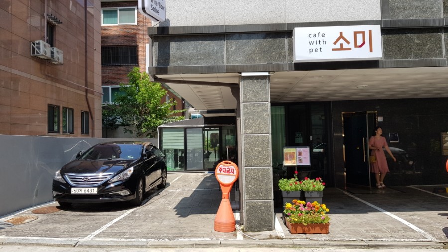 카페소미 이미지