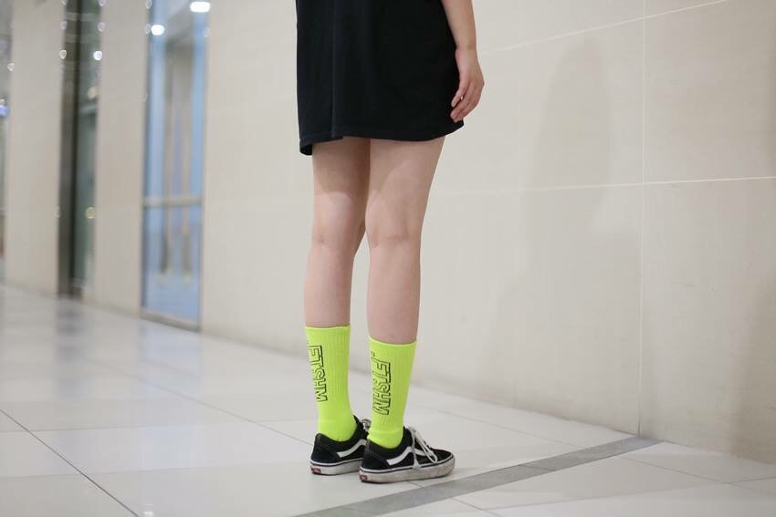 패티즘 이미지